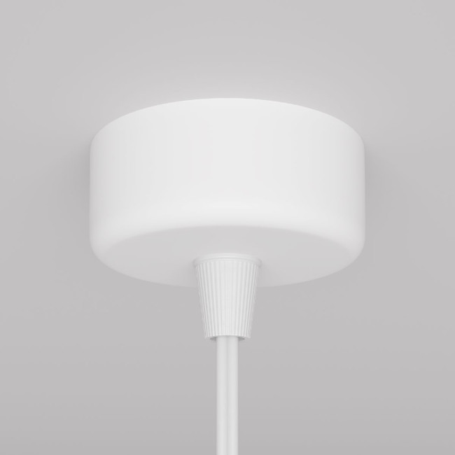 Подвесной светильник Maytoni Shelby P038PL-01W