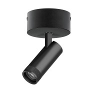 Накладной светильник 20-55G с адаптером Lightstar Canno Pro C4127SO