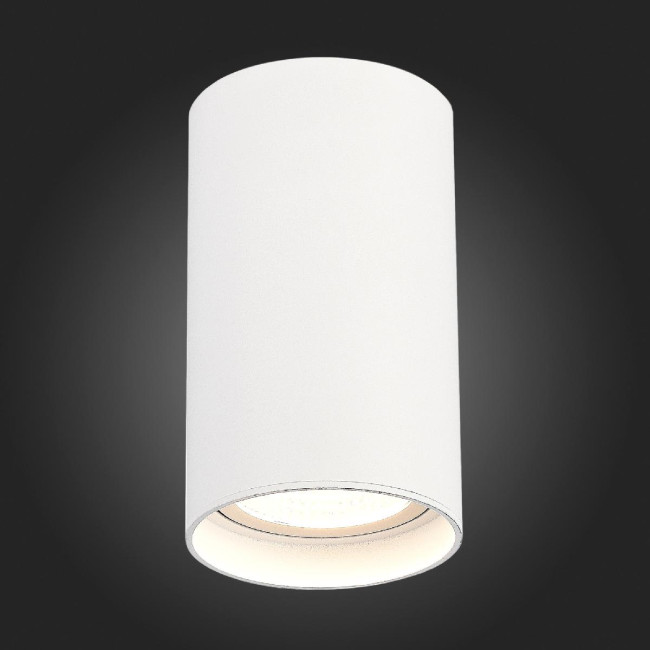 Накладной светильник ST Luce ST157.542.20