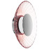 Настенно-потолочный светильник Lightstar Celesta 809022 Настенно-потолочный светильник Lightstar Celesta 809022