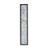 Настенный светильник Favourite Primum 4857-1W Настенный светильник Favourite Primum 4857-1W