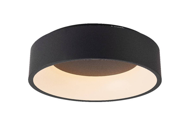 Потолочный светильник Myfar Shannon MR2193-1PL Потолочный светильник Myfar Shannon MR2193-1PL