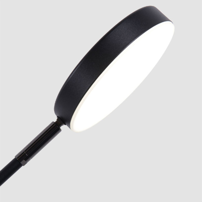 Настольная лампа Favourite Vorago 4572-1T Настольная лампа Favourite Vorago 4572-1T