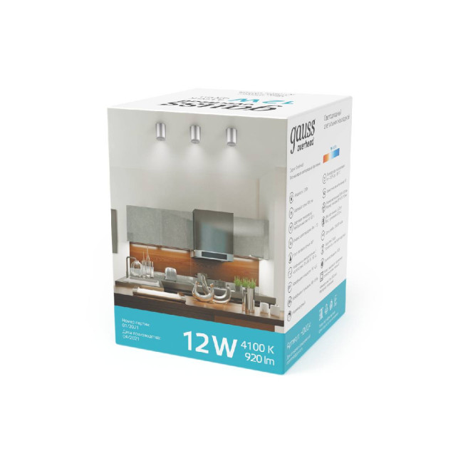 Потолочный светодиодный светильник Gauss Overhead HD004 Потолочный светодиодный светильник Gauss Overhead HD004