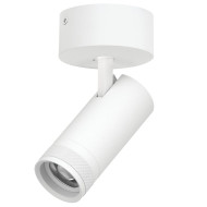 Накладной светильник 20-55G с адаптером Lightstar Canno Pro C4206SO