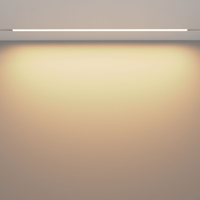 Трековый магнитный светильник Maytoni Basis TR030-4-30W3K-WW-DS-W Трековый магнитный светильник Maytoni Basis TR030-4-30W3K-WW-DS-W