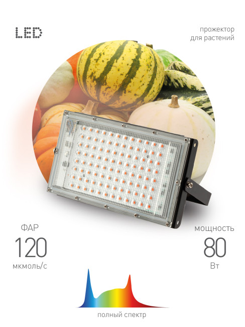 Фитопрожектор для растений Эра FITO-80W-Ra90-LED-Y Б0057284 Фитопрожектор для растений Эра FITO-80W-Ra90-LED-Y Б0057284