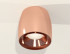 Потолочный светильник Ambrella Light Techno Spot XS1144002 (C1144, N7035) Потолочный светильник Ambrella Light Techno Spot XS1144002 (C1144, N7035)