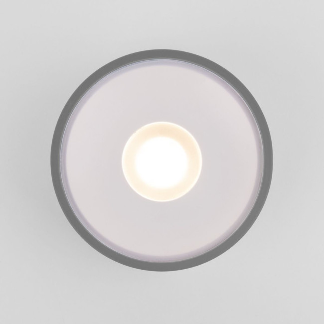 Уличный потолочный светильник Elektrostandard Light LED 4690389180149 Уличный потолочный светильник Elektrostandard Light LED 4690389180149
