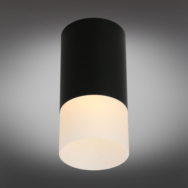 Потолочный светильник Omnilux Lucido OML-100619-01 Потолочный светильник Omnilux Lucido OML-100619-01