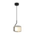 Подвесной светильник Freya Ice FR5541PL-L5B Подвесной светильник Freya Ice FR5541PL-L5B