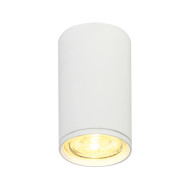 Потолочный светильник 20001 20001SMU/01 SWH