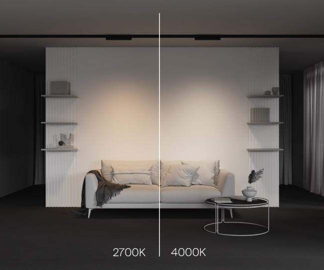 Трековый трехфазный светильник Maytoni Basis TR196-3-10W2.7K-B