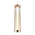 Подвесной светильник Indigo Rilucente 11061/1P Gold V000149L Подвесной светильник Indigo Rilucente 11061/1P Gold V000149L