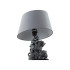 Настольная лампа Lumion Moderni Catty 8128/1T Настольная лампа Lumion Moderni Catty 8128/1T