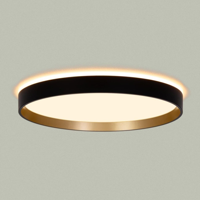 Потолочный светильник Citilux Etalon CL750321R