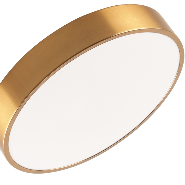 Потолочный светильник Zortes Tortty ZRS.02566.48