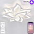 Потолочная люстра Natali Kovaltseva Olimp LED SMART 84005 Потолочная люстра Natali Kovaltseva Olimp LED SMART 84005