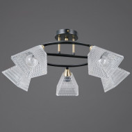 Потолочная люстра Illumico IL0850-5CSQ-25BKAB ELITE