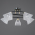 Потолочная люстра Illumico IL0850-5CSQ-25BKAB ELITE