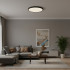 Потолочный светильник  LOFT IT Sweety 10454/500 Black