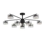 Люстра на штанге Lumion Comfi Natalina 8349/10C
