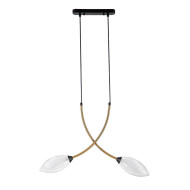 Подвесной светильник Indigo Fiore 13001/2P Black V000140