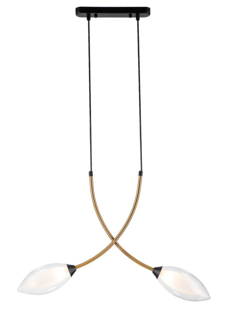 Подвесной светильник Indigo Fiore 13001/2P Black V000140