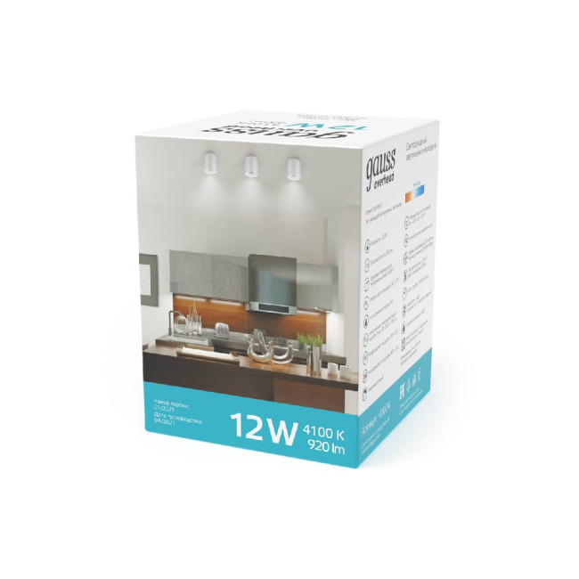 Потолочный светодиодный светильник Gauss Overhead HD011 Потолочный светодиодный светильник Gauss Overhead HD011