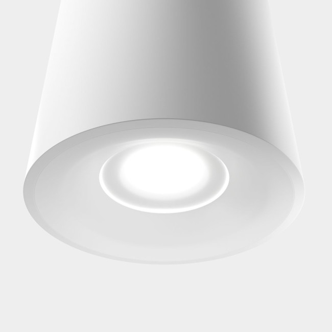 Накладной светильник Lightera Shamrock LE200CL-1W