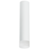 Накладной светильник Lightstar Rullo R49631 (214496+202431)
