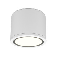 Накладной светильник Maytoni Rendo C095CL-GX53-W