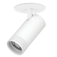 Встраиваемый светильник 20-55G с адаптером Lightstar Canno Pro C4306RS