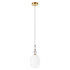 Подвесной светильник Loft IT Family 10365/F