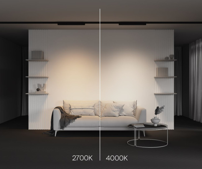 Трековый трехфазный светильник Maytoni Basis TR196-3-20W2.7K-B Трековый трехфазный светильник Maytoni Basis TR196-3-20W2.7K-B