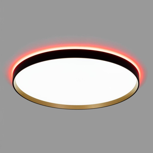 Потолочный светильник Citilux Etalon CL750501R