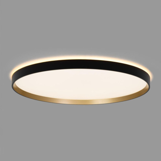 Потолочный светильник Citilux Etalon CL750501R