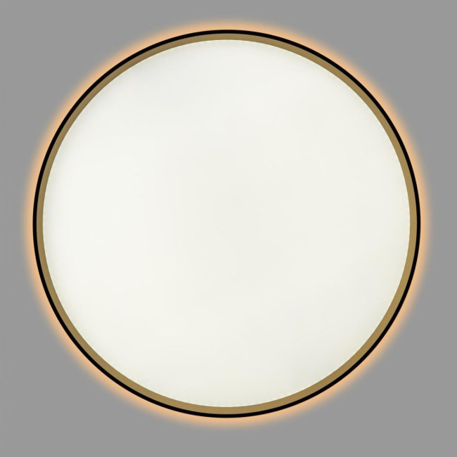 Потолочный светильник Citilux Etalon CL750501R