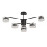 Люстра на штанге Lumion Comfi Natalina 8349/6C Люстра на штанге Lumion Comfi Natalina 8349/6C