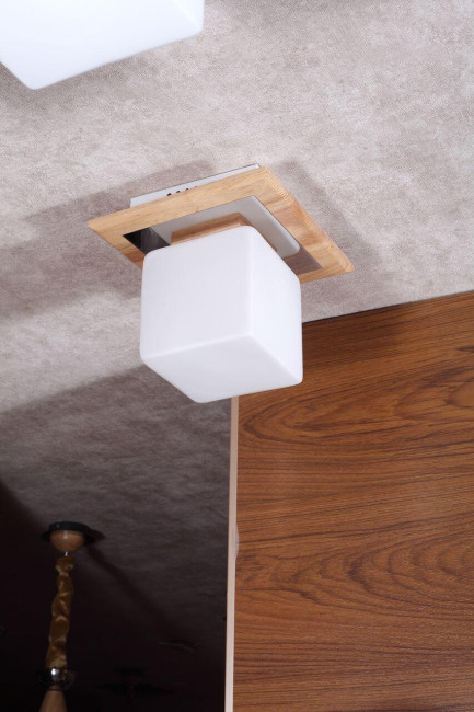 Потолочный светильник Lucia Tucci Natura 073.1 LED Потолочный светильник Lucia Tucci Natura 073.1 LED