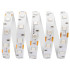 Светодиодная лента Apeyron 12В СТ 14,4Вт/м smd5050 60д/м IP20 5м красная 00-48