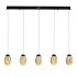 Подвесной светильник Delight Collection MD25090022-5B matt black/champagne