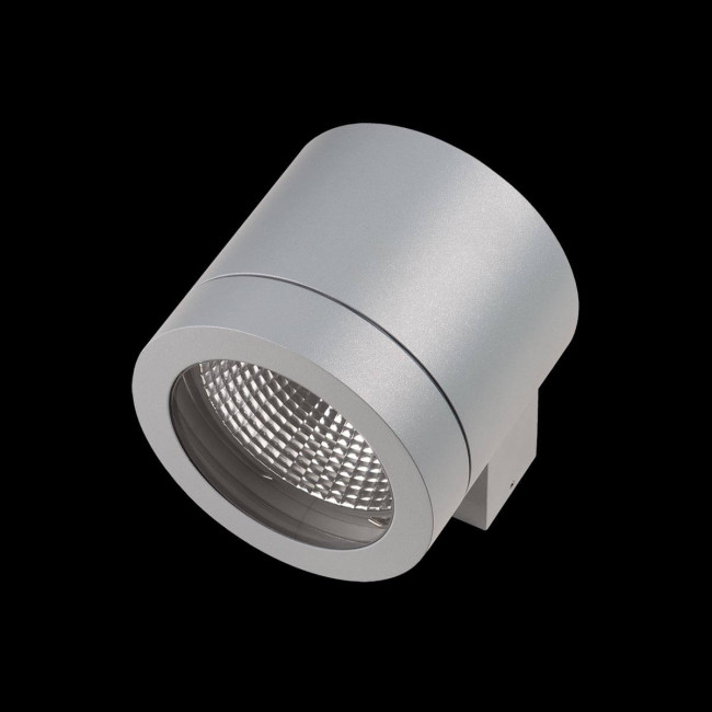 Уличный настенный светильник Lightstar Paro 350619 Уличный настенный светильник Lightstar Paro 350619