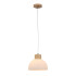 Подвесной светильник Arte Lamp Caprice A4184SP-1BR