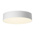 Потолочный светильник Citilux Bart CL755290