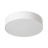 Потолочный светильник Citilux Bart CL755290