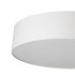 Потолочный светильник Citilux Bart CL755290