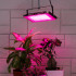 Фитопрожектор для растений Эра FITO-80W-RB-LED-Y Б0053082 Фитопрожектор для растений Эра FITO-80W-RB-LED-Y Б0053082