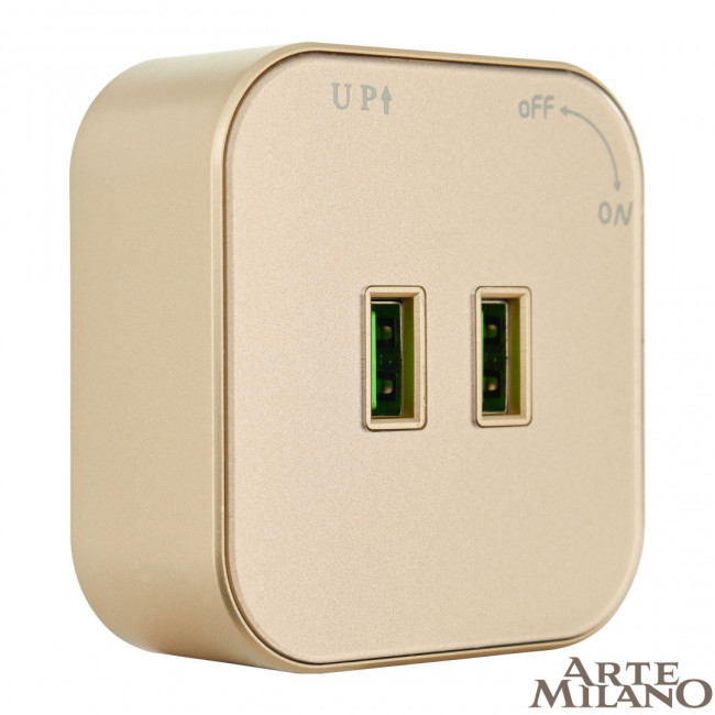 Трековая розетка Arte Milano Am-track-sockets 380022TS/USBx2 Gold