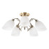 Люстра на штанге MyFar Biene MR1521-5C